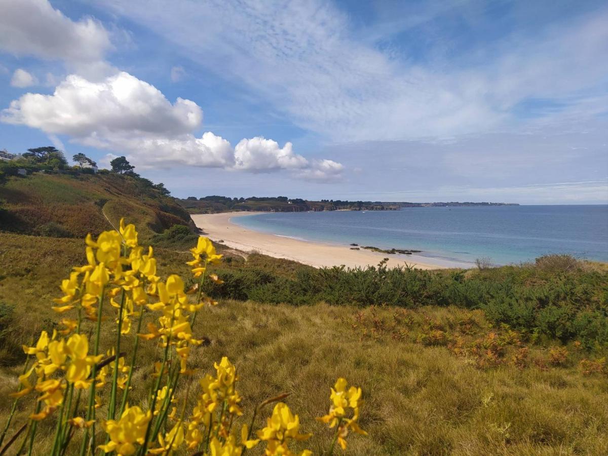 Les Maisons De Kerdavid'Ile - Votre Residence De Vacances A Belle Ile En Mer Locmaria Buitenkant foto