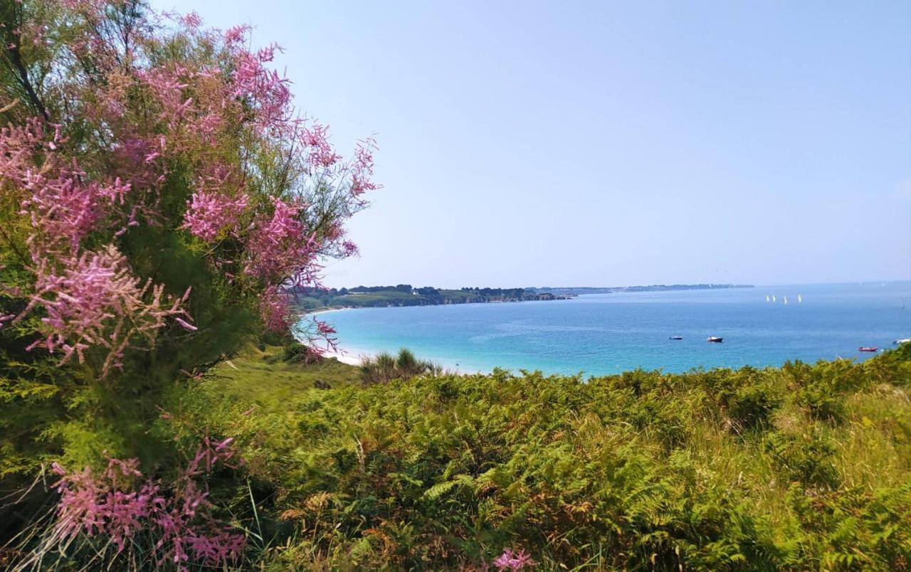 Les Maisons De Kerdavid'Ile - Votre Residence De Vacances A Belle Ile En Mer Locmaria Buitenkant foto