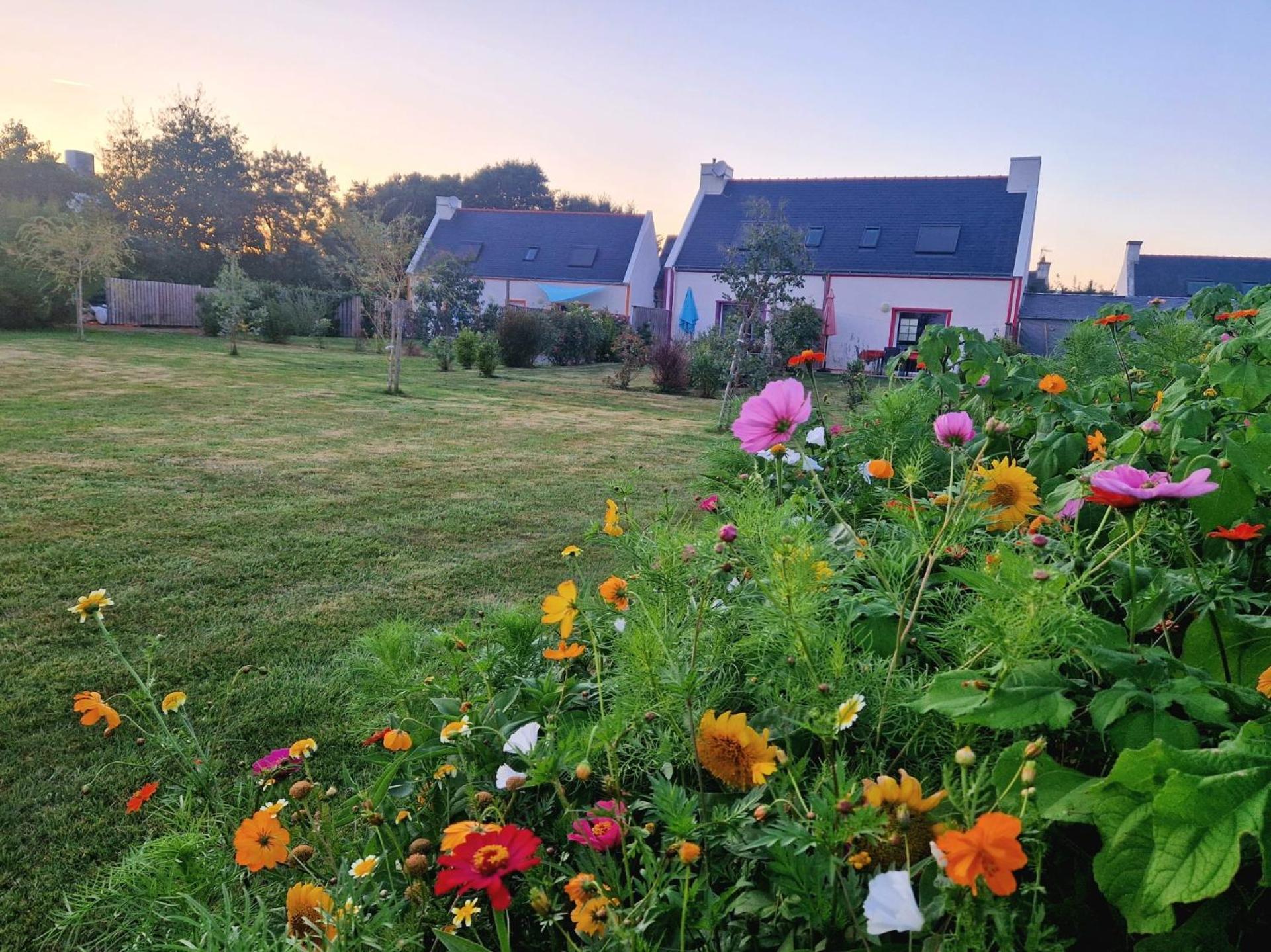 Les Maisons De Kerdavid'Ile - Votre Residence De Vacances A Belle Ile En Mer Locmaria Buitenkant foto